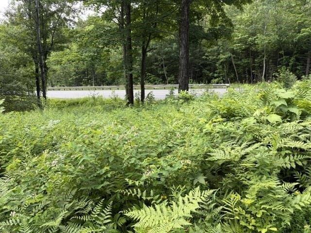 Land for sale in Irasburg, Vermont