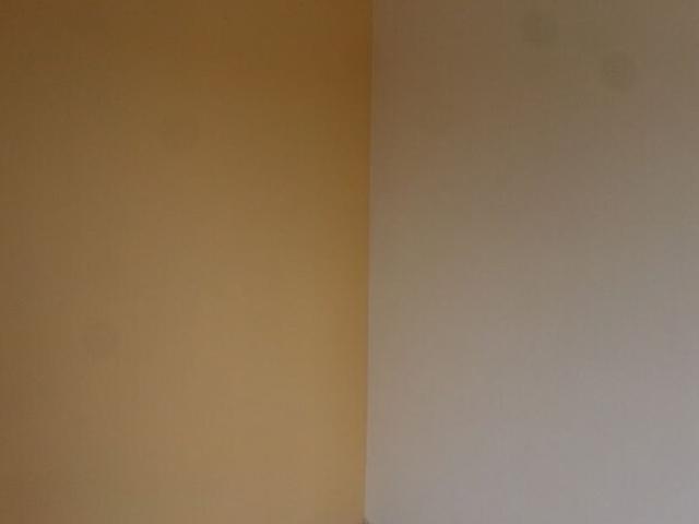 House for rent in Bangalore North, Cox Town - Bangalore