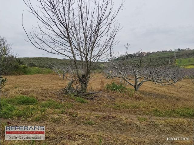 Mudanya, Bursa içerisinde satılık mülk