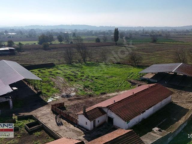Fevzidede, Mustafakemalpaşa içerisinde satılık Fabrika