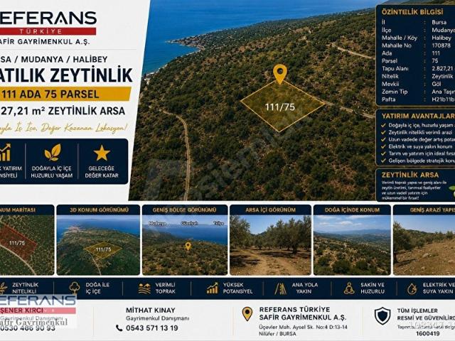 Mudanya, Bursa içerisinde satılık mülk