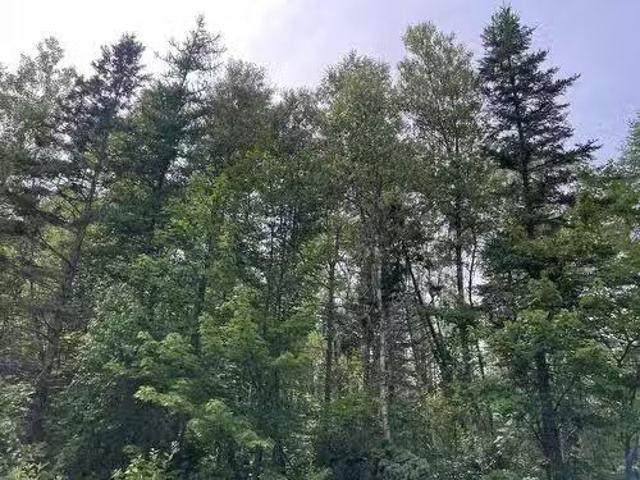 House for sale in Prince, Prince Edward Island