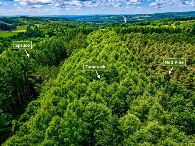 Land for sale in Erieville, New York