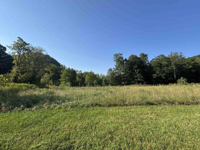 Land for sale in Dryfork, West Virginia