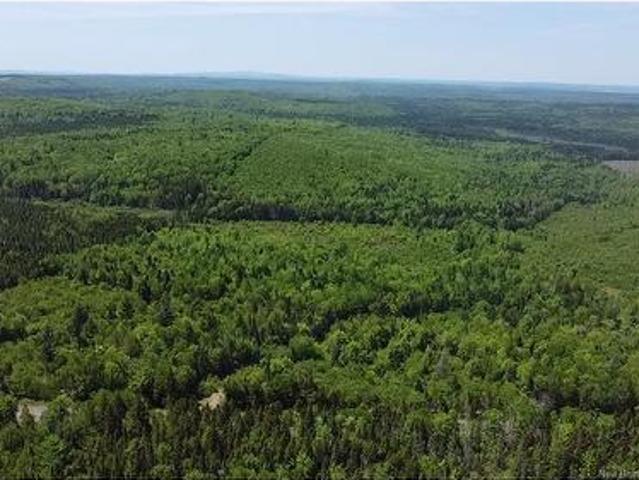 Land for sale in Springfield, New Brunswick