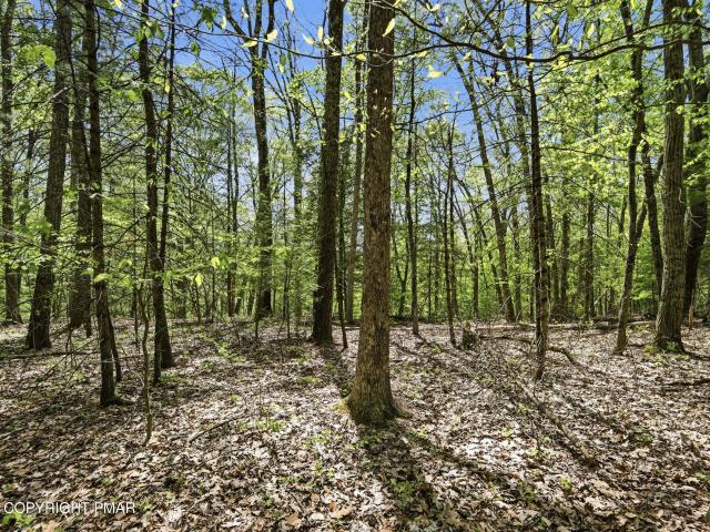 Land for sale in Pennsylvania