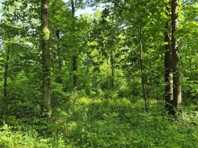Land for sale in East Springfield, Pennsylvania