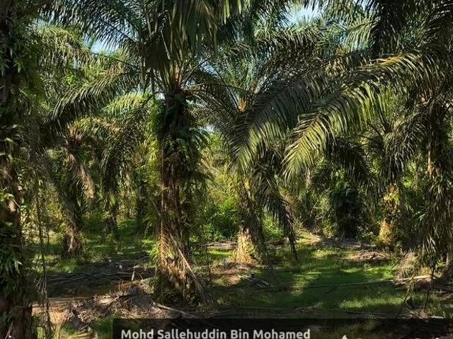 Property for sale in Pahang