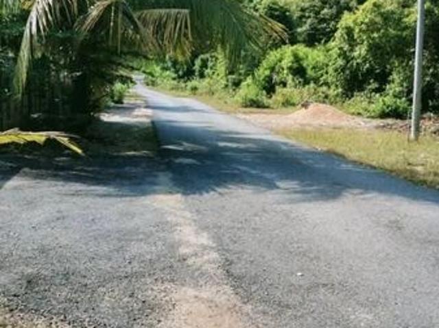 House for sale in Pekan, Pahang