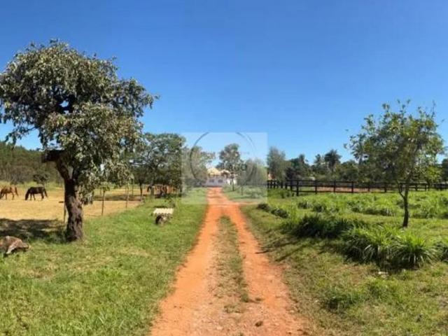 Sítio e chácara venda em Região Geográfica Imediata do Distrito Federal, Região Integrada de Desenvolvimento do Distrito Federal e Entorno