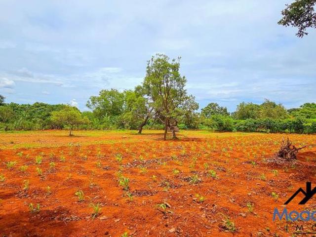 Sítio e chácara venda em Região Geográfica Imediata do Distrito Federal, Região Integrada de Desenvolvimento do Distrito Federal e Entorno