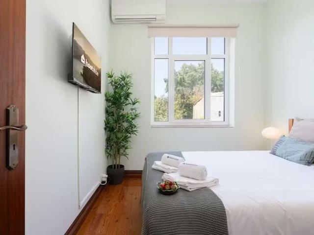 Apartamento alugar em Porto, Cedofeita
