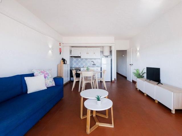 Apartamento alugar em Albufeira e Olhos de Água, Albufeira