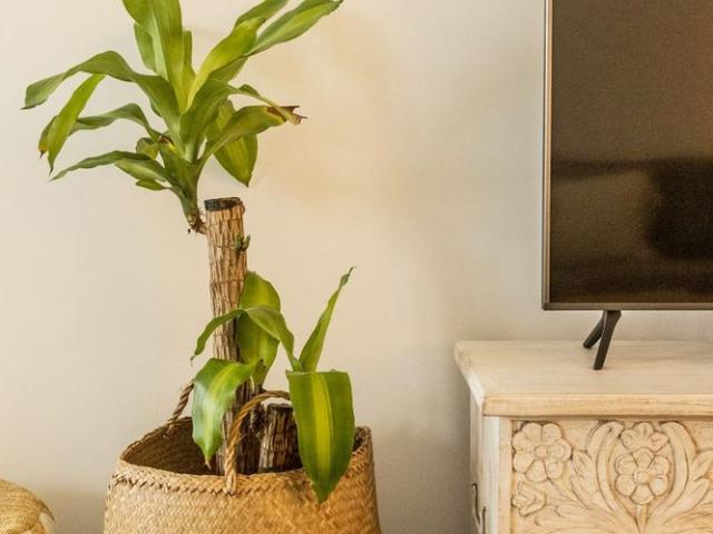 Apartamento alugar em Tavira, Faro