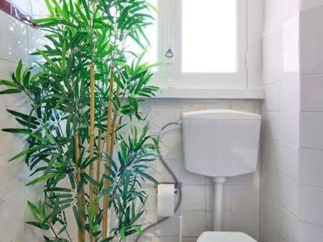 Apartamento alugar em Lisboa