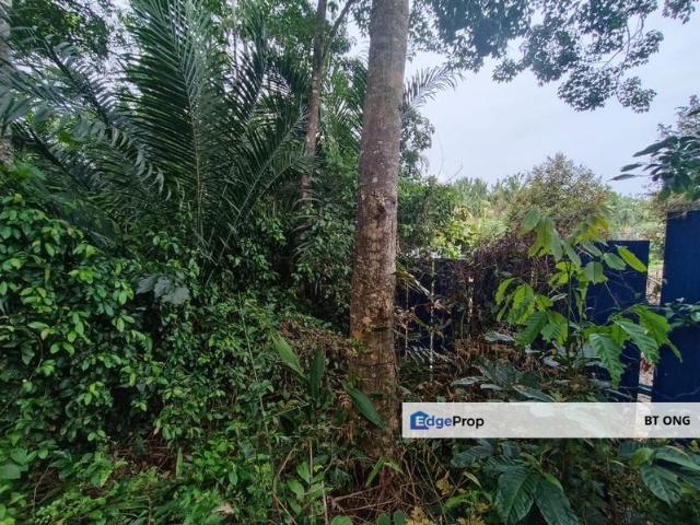 House for sale in Durian Tunggal, Malaka