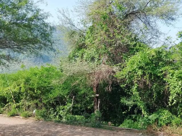 Terreno en venta en Autlán De Navarro, Jalisco