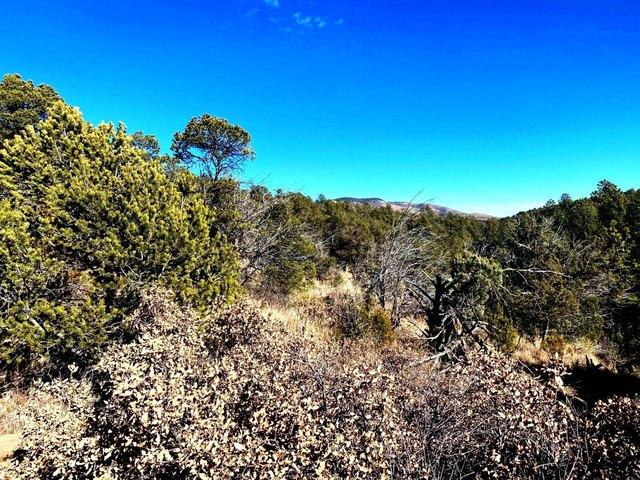 Land for sale in Timberon, New Mexico