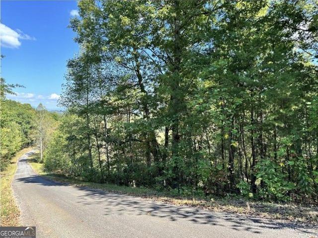 Land for sale in Young Harris, Georgia