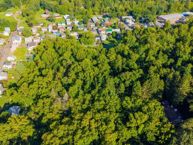 Land for sale in Orangeville, Pennsylvania