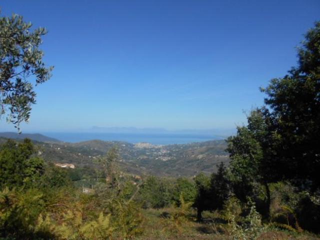 Terreno in vendita a Laureana Cilento, Campania