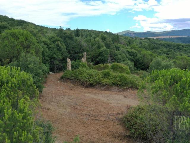 Locale Commerciale in vendita a Lisciano Niccone, Umbria