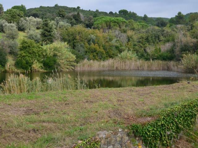 Rustico in vendita a Rosignano Marittimo, Toscana