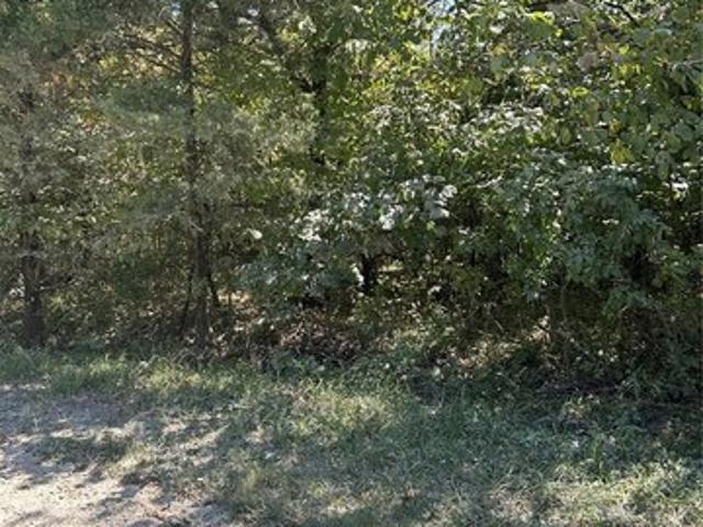 Land for sale in Bonne Terre, Missouri