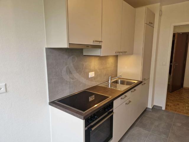 Apartment mieten in Meyrin