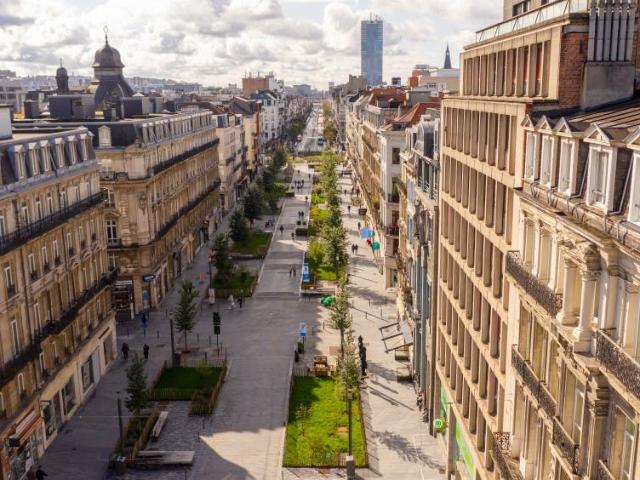 Kot location à Renaix, Oost-Vlaanderen