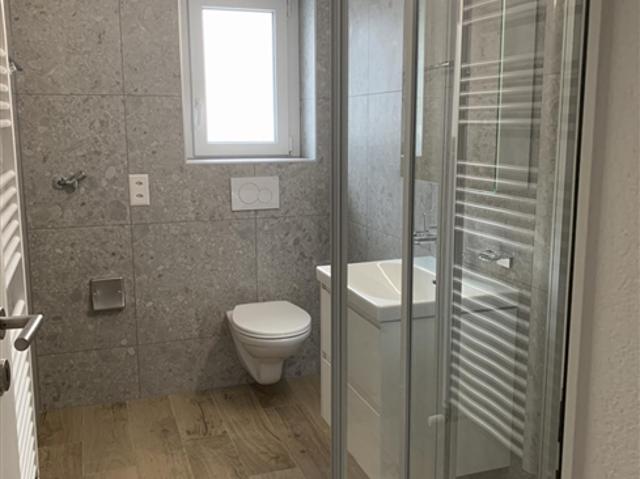 Wohnung mieten in La Chaux-de-Fonds