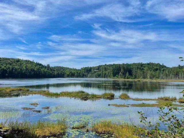 House for rent in Laurentides, Quebec
