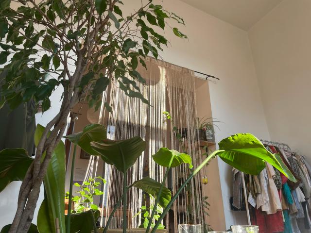 Appartement location à Brussel, Bruxelles