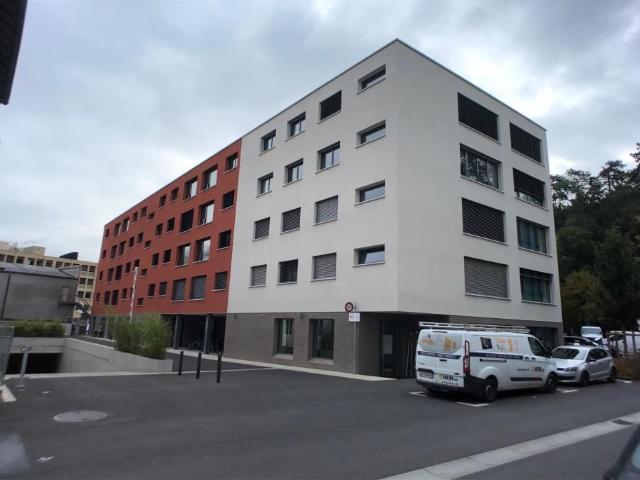 Apartment mieten in Carouge (GE)