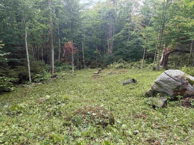 Land for sale in Bennington, Vermont