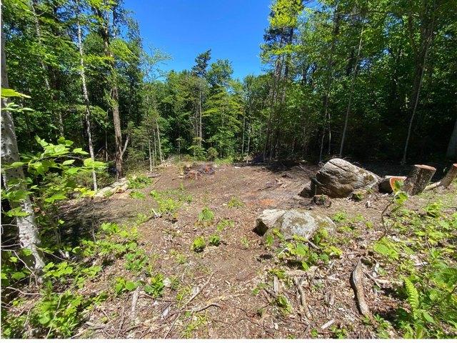 Land for sale in Bennington, Vermont