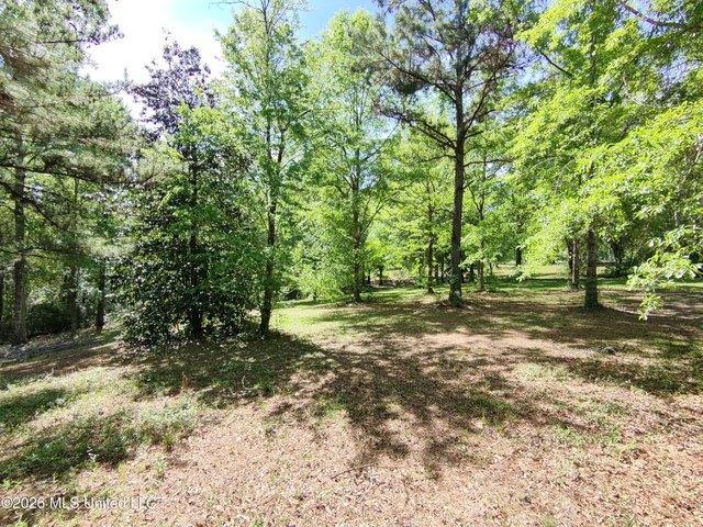 Land for sale in Carriere, Mississippi