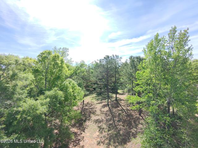Land for sale in Picayune, Mississippi