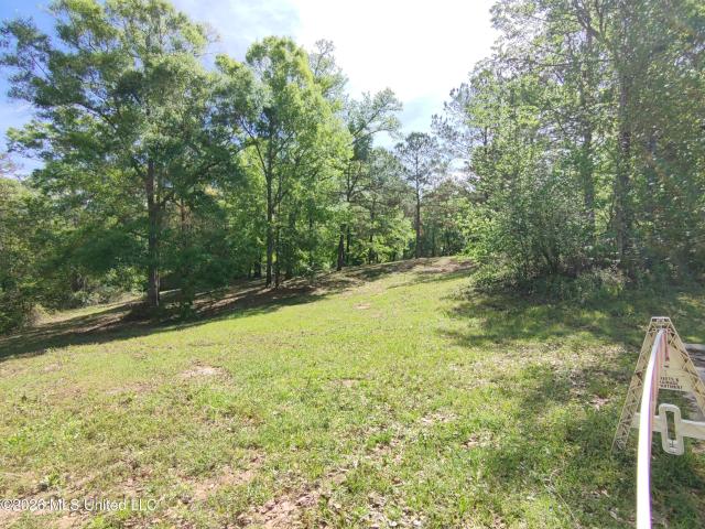 Land for sale in Picayune, Mississippi