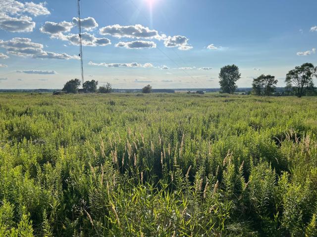 Land for sale in Kaukauna