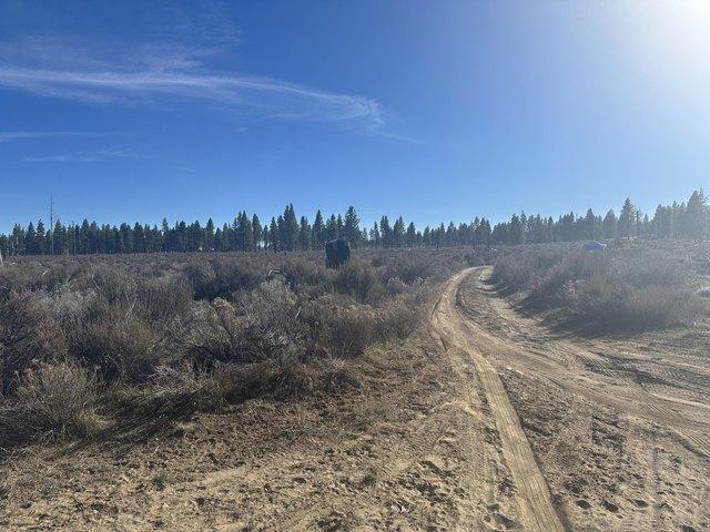 Land for sale in Oregonia