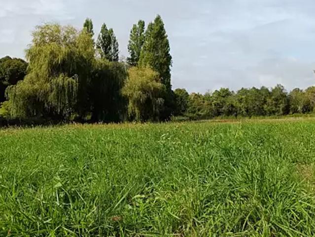 Terrain vente à Châteaubriant-Ancenis, Ruffigné