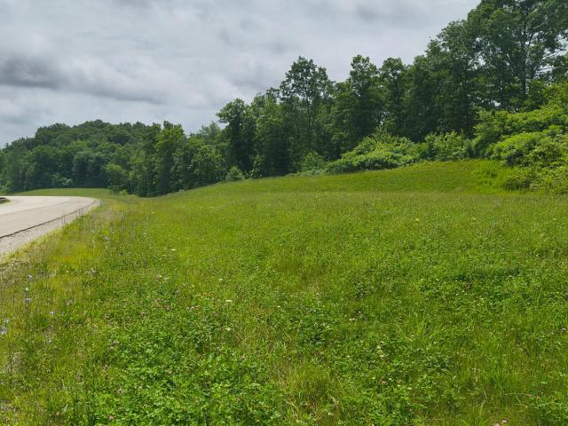 Land for sale in Tennessee