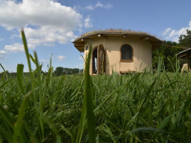 Landwirtschaft kaufen in Loipersdorf bei Fürstenfeld, Steiermark