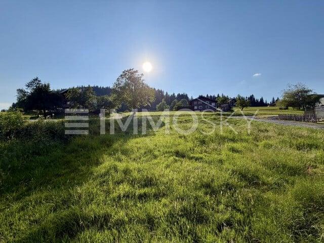 Grundstück kaufen in Alberschwende, Vorarlberg