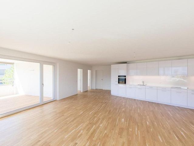 Apartment mieten in Boniswil, Aargau