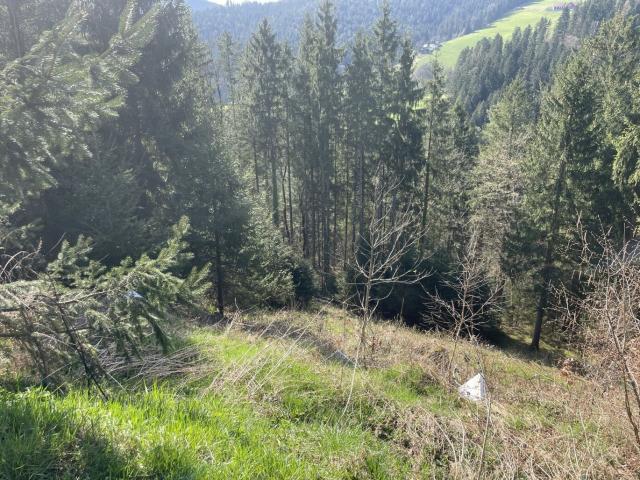 Landwirtschaft kaufen in Voitsberg, Steiermark