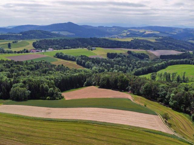 Haus kaufen in Wiesmath, Niederösterreich