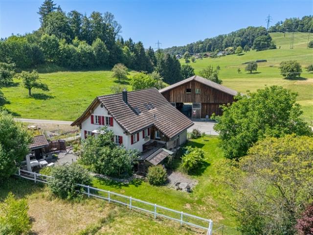 Einfamilienhaus kaufen in Eschenbach (SG), St. Gallen