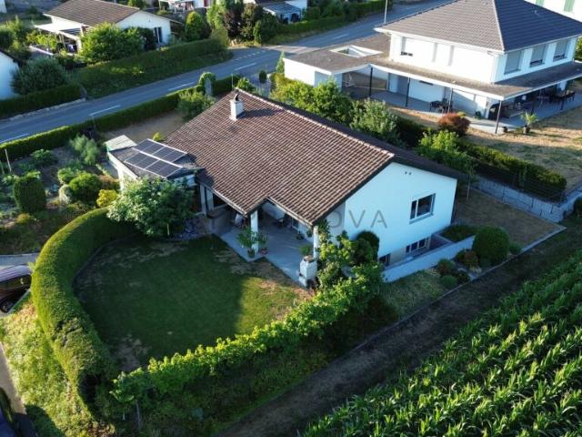 Einfamilienhaus kaufen in Stetten (AG), Aargau